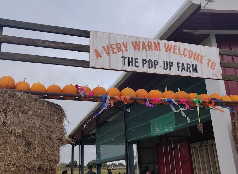 Farmstall The PopUp Farm