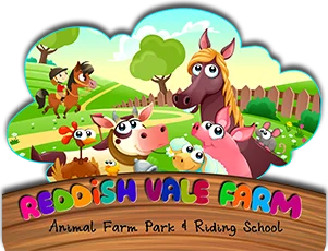 Lancaster Park & Animal Farm